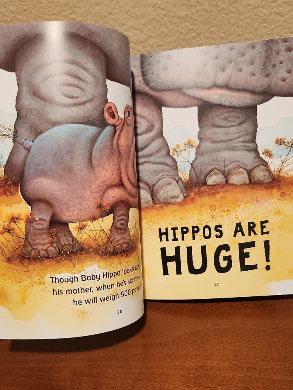 Animal Book Bundle: 3 Books - Picture 10 of 10